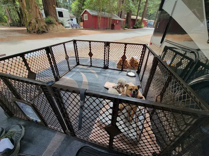 Santa Cruz Redwoods RV Resort Picture 1