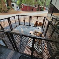 Santa Cruz Redwoods RV Resort ico