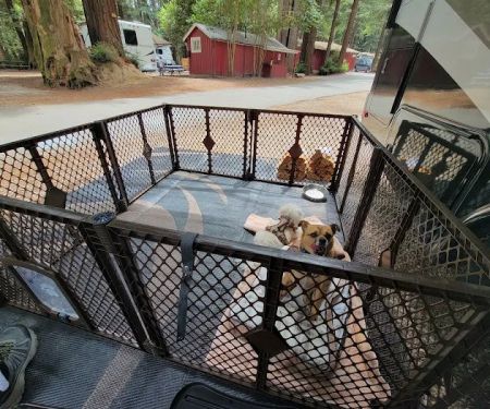 Santa Cruz Redwoods RV Resort