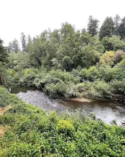 Santa Cruz Redwoods RV Resort Picture 10