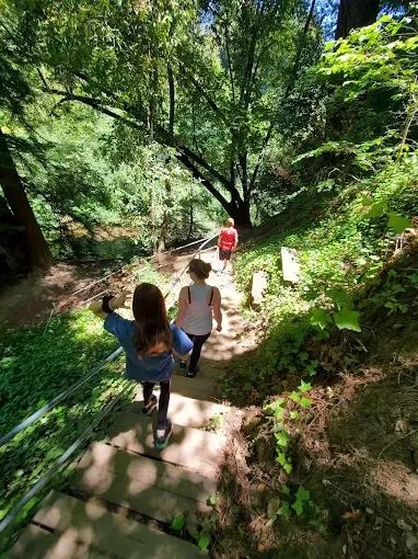 Santa Cruz Redwoods RV Resort Picture 9
