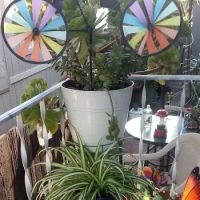 Orchard Estates Mobile Home Park ico