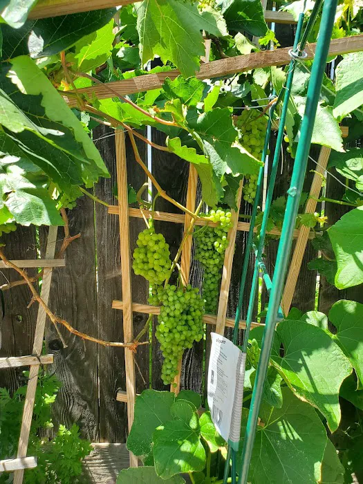 Green Oaks Mobile Home Park Picture 3