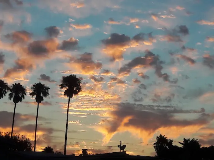 Green Oaks Mobile Home Park Picture 5