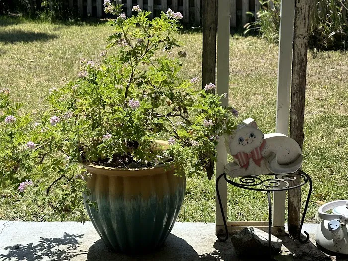 Green Oaks Mobile Home Park Picture 4