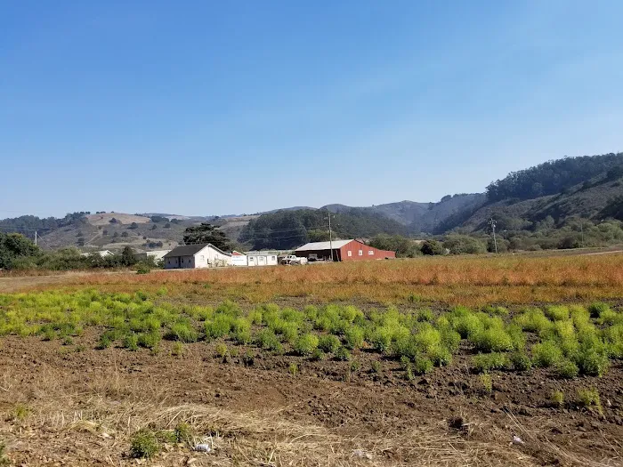 Hilltop Mobile Home Park Picture 6