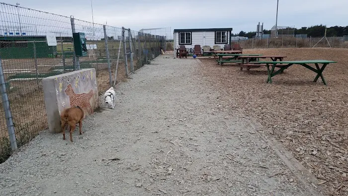 Half Moon Bay RV Park Picture 8