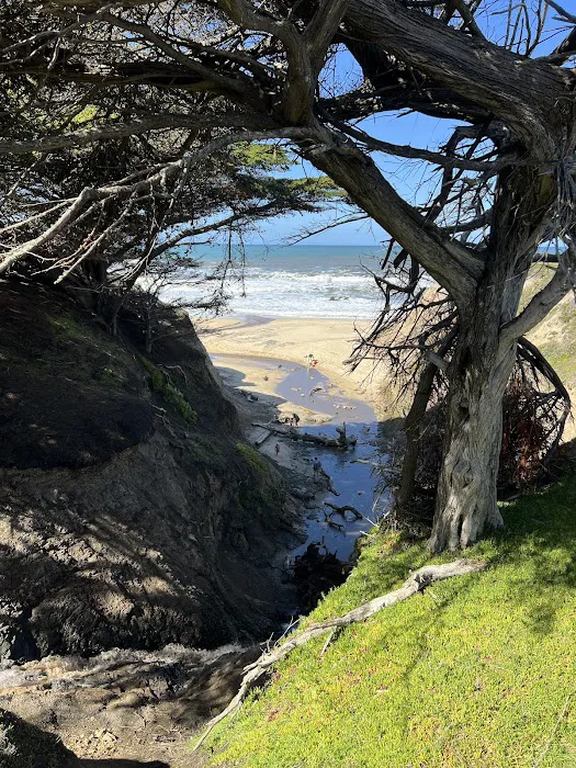 Pelican Point RV Park Picture 3