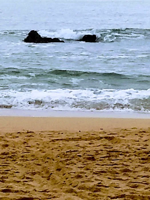 Pelican Point RV Park Picture 5