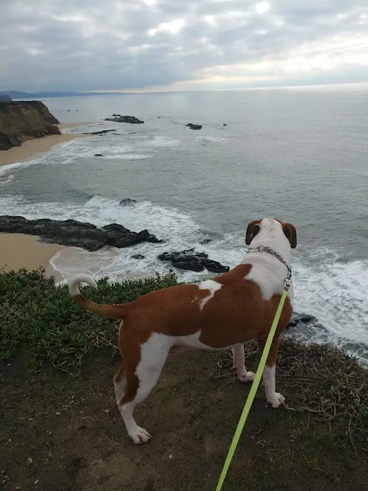 Pelican Point RV Park Picture 7