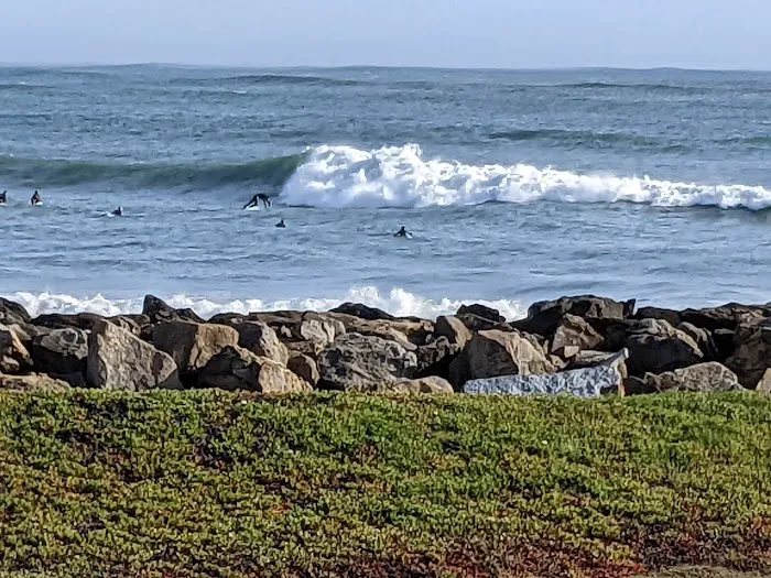 Pillar Point RV Park Picture 1