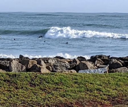 Pillar Point RV Park