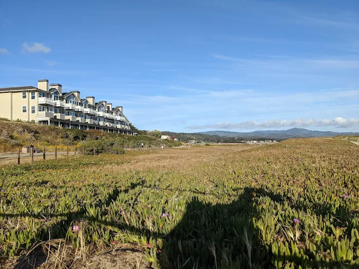 Pillar Point RV Park Picture 3