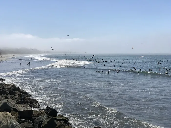 Pillar Point RV Park Picture 8