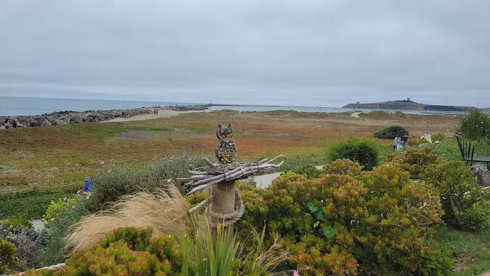 Pillar Point RV Park Picture 5