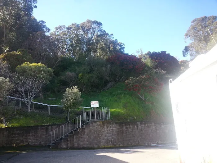 Sierra Point Trailer Park Picture 4