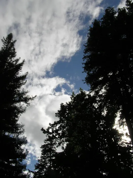 Sequoia Villa Picture 4