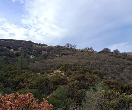 Vista Diablo Mobile Estates