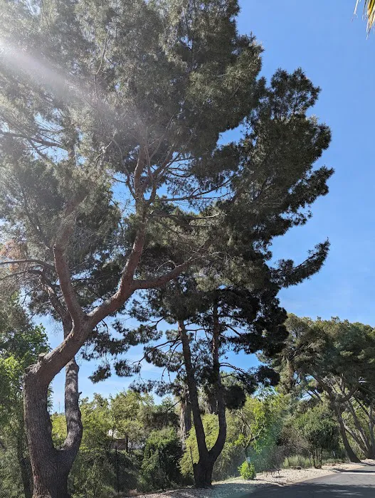 Vista Diablo Mobile Estates Picture 7