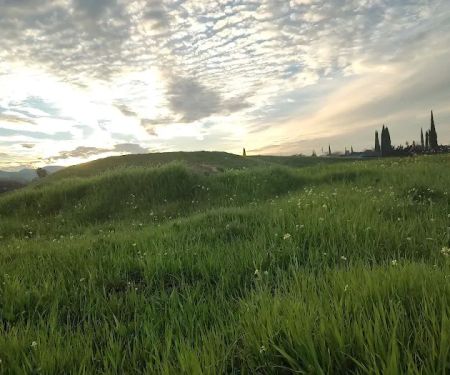 Chateau Mobile Home Park LLC