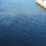 Sugar Barge RV Resort & Marina