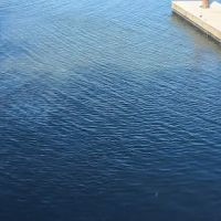 Sugar Barge RV Resort & Marina ico