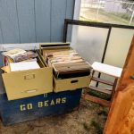 Willows At Bethel Island