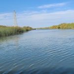 Eddo's Harbor & RV Park