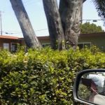 Morehead Park RV & Boat Storage