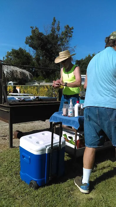 Orchard RV Park Picture 5