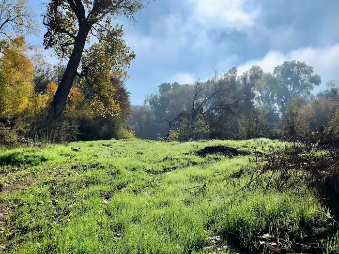 Two Rivers RV Park Picture 4