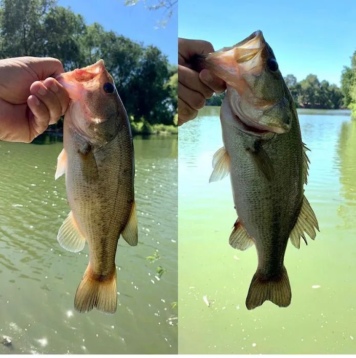 Two Rivers RV Park Picture 3