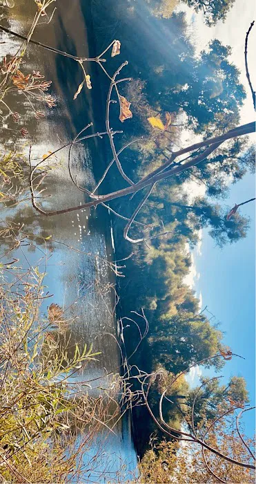 Two Rivers RV Park Picture 7