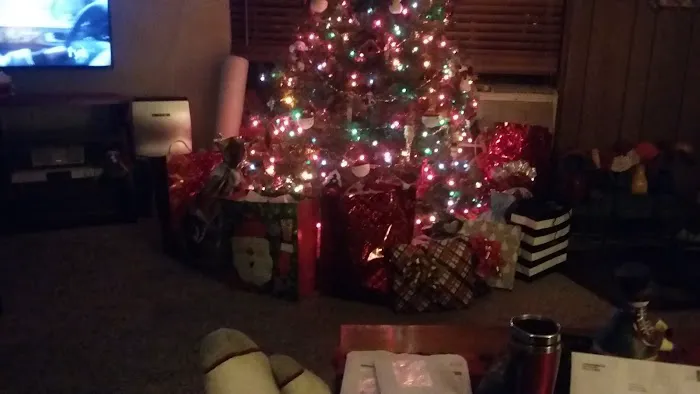 Southland Mobile Home Picture 6