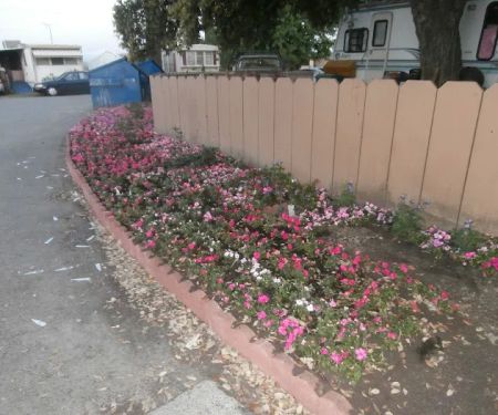 Charter Way Mobile Home Park