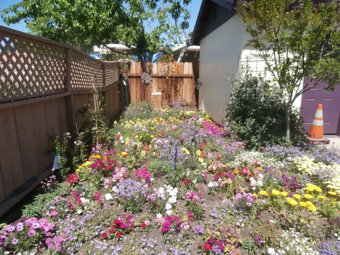 Charter Way Mobile Home Park Picture 8