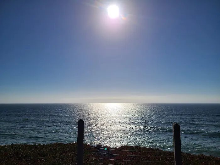 San Francisco RV Resort Picture 10
