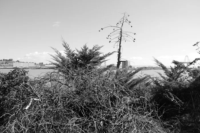 Candlestick RV Park Picture 10