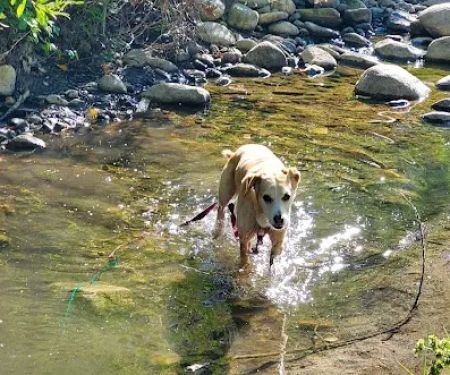 Royal Sierra Mobile Home Park