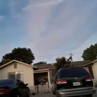 Nielsen's Trailer Park ico