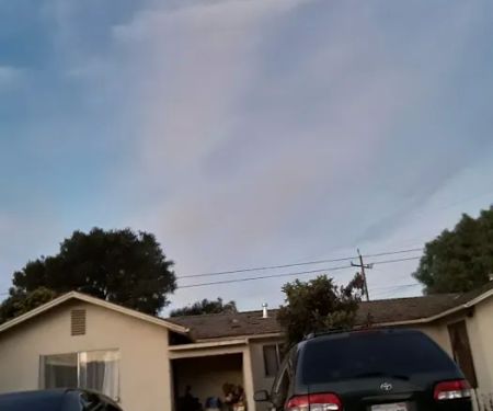 Nielsen's Trailer Park