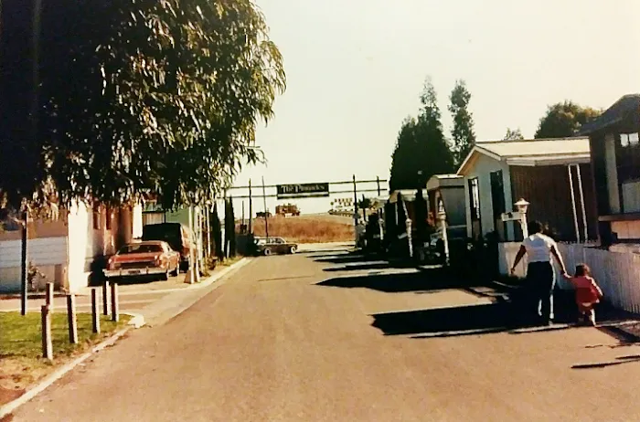 Santa Elena Mobile Home Park Picture 9