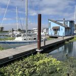 Stars & Moon Art Park, Marina & Resort