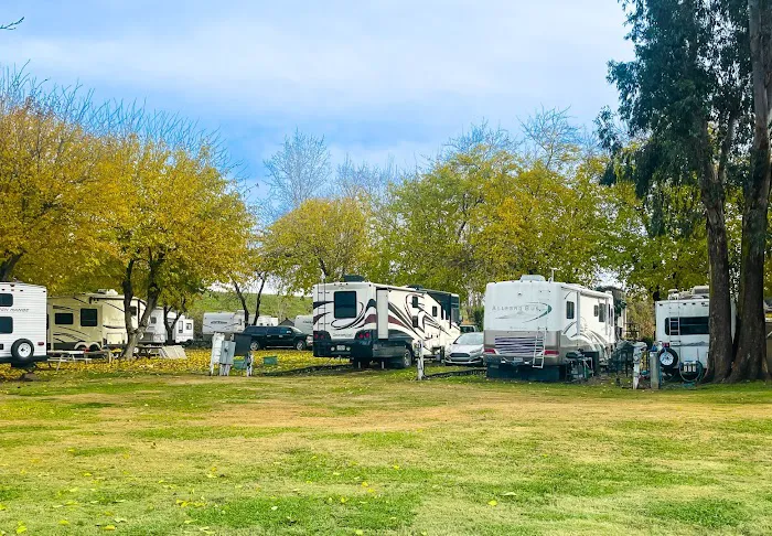 Rancho Marina RV Park Picture 9