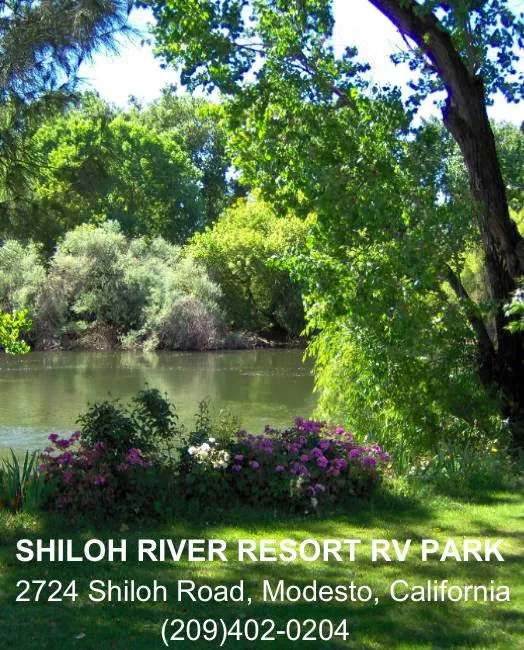 Shiloh River Resort (private property) Picture 2