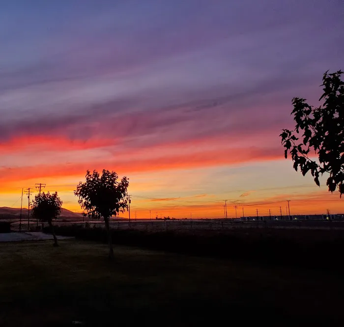 Kit Fox RV Park LLP Picture 4