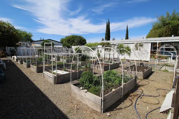 Friendly Village of Modesto Picture 9