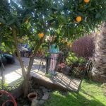 Country Squire Mobile Estates space 38