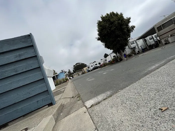 Idle Wheels Picture 3