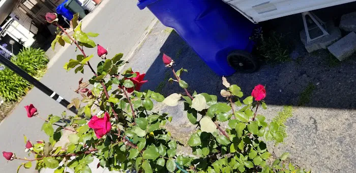 Idle Wheels Picture 6